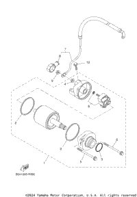 Starting Motor
