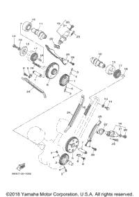 Camshaft Chain