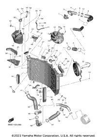 Radiator & Hose
