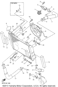 Radiator Hose