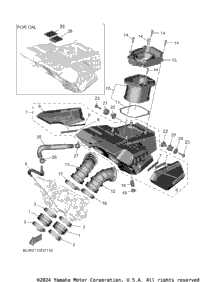 Intake