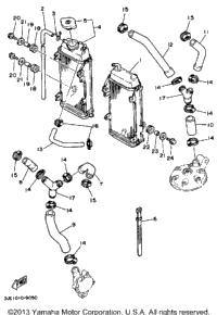 Radiator - Hose