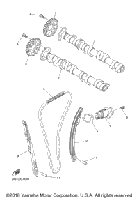 Camshaft Chain