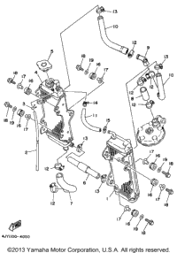 Radiator Hose