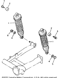 Rear Shocks
