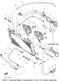 Radiator Hose