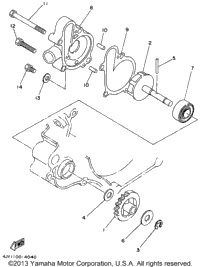 Water Pump