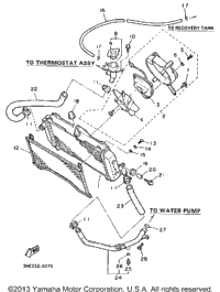 Radiator Hose