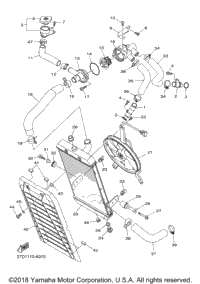 Radiator Hose