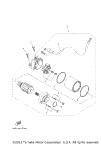 Starting Motor