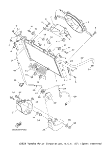 Radiator Hose