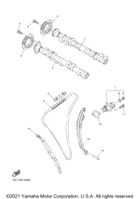 Camshaft & Chain