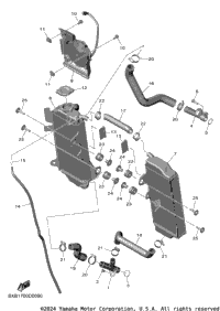 Radiator & Hose