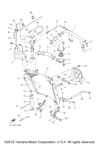 Radiator Hose