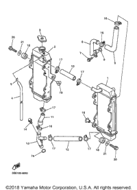 Radiator Hose