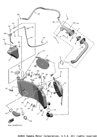 Radiator & Hose