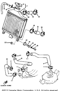 Radiator - Hose