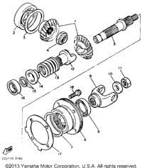 Middle Drive Gear