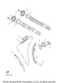Camshaft Chain