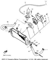 Radiator - Hose