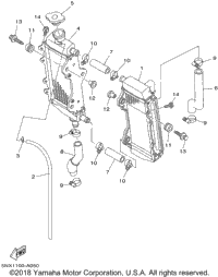 Radiator Hose
