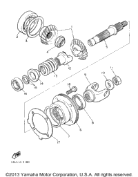 Middle Drive Gear