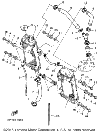 Radiator Hose