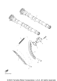 Camshaft Chain