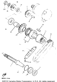 Starter Clutch