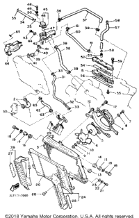 Radiator Hose