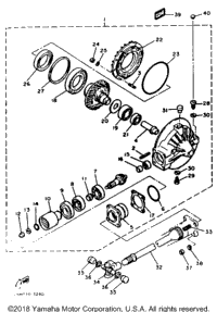 Drive Shaft