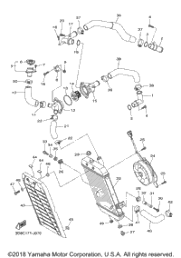 Radiator Hose