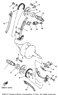 Camshaft Chain
