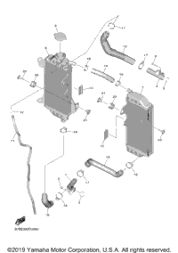 Radiator Hose
