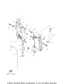 Radiator & Hose
