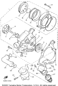 Water Pump