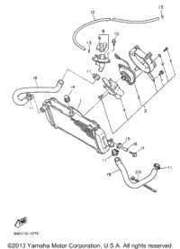 Radiator Hose
