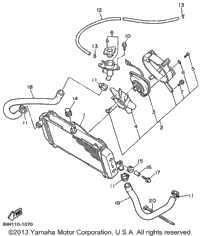 Radiator Hose