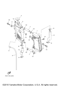 Radiator Hose