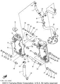 Radiator - Hose