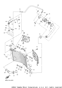 Radiator Hose