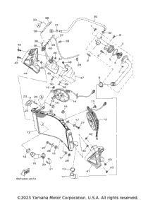Radiator Hose