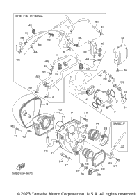 Intake