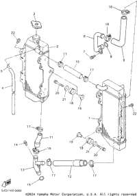 Radiator Hose
