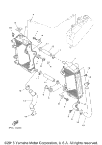 Radiator Hose