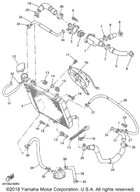 Radiator Hose