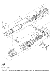 Rear Shocks