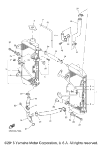 Radiator Hose