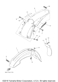 Fender