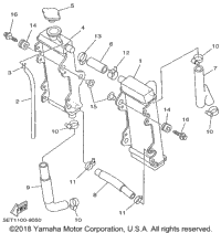 Radiator Hose